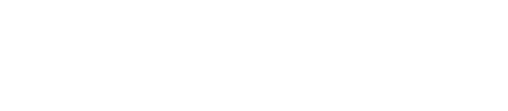 FDS
